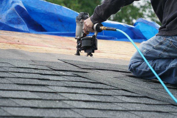 Roof Gutter Cleaning in San Luis, AZ